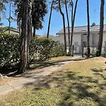 Pinea Bibione